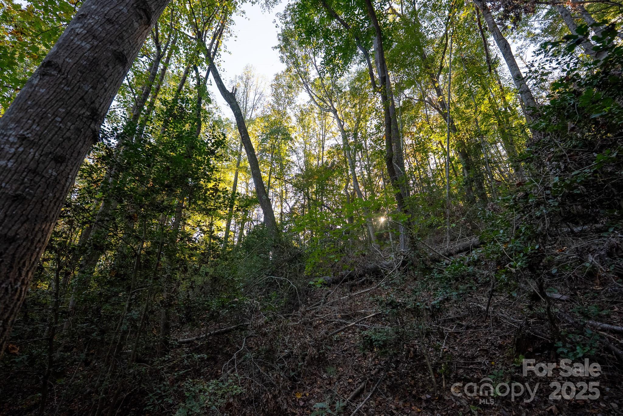 0 Shell Creek Road Ferguson, NC 28624 - Photo 23 of 28 Gallery Image 23