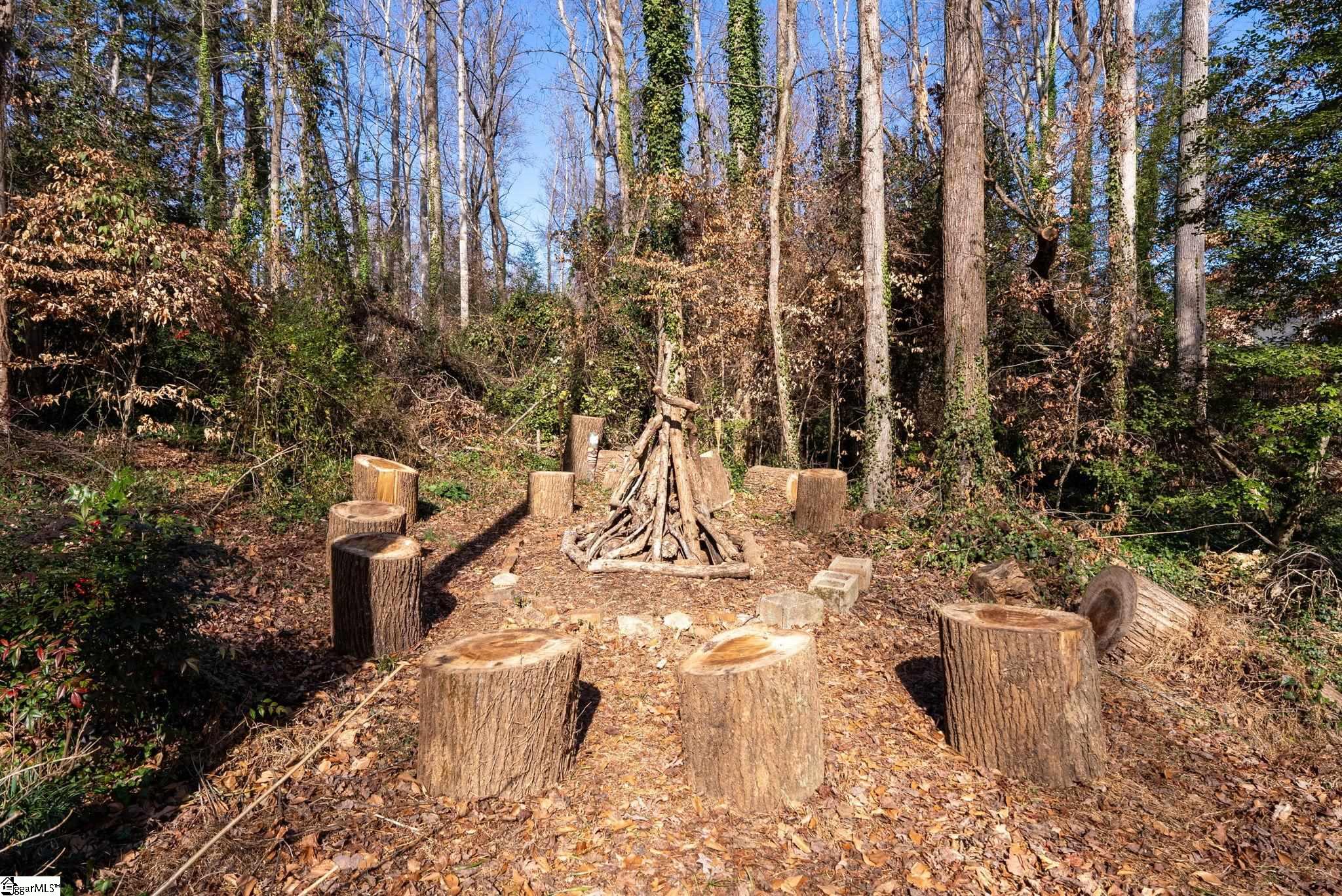 107 Stone Ridge Court Greer, SC 29650 - Photo 24 of 50