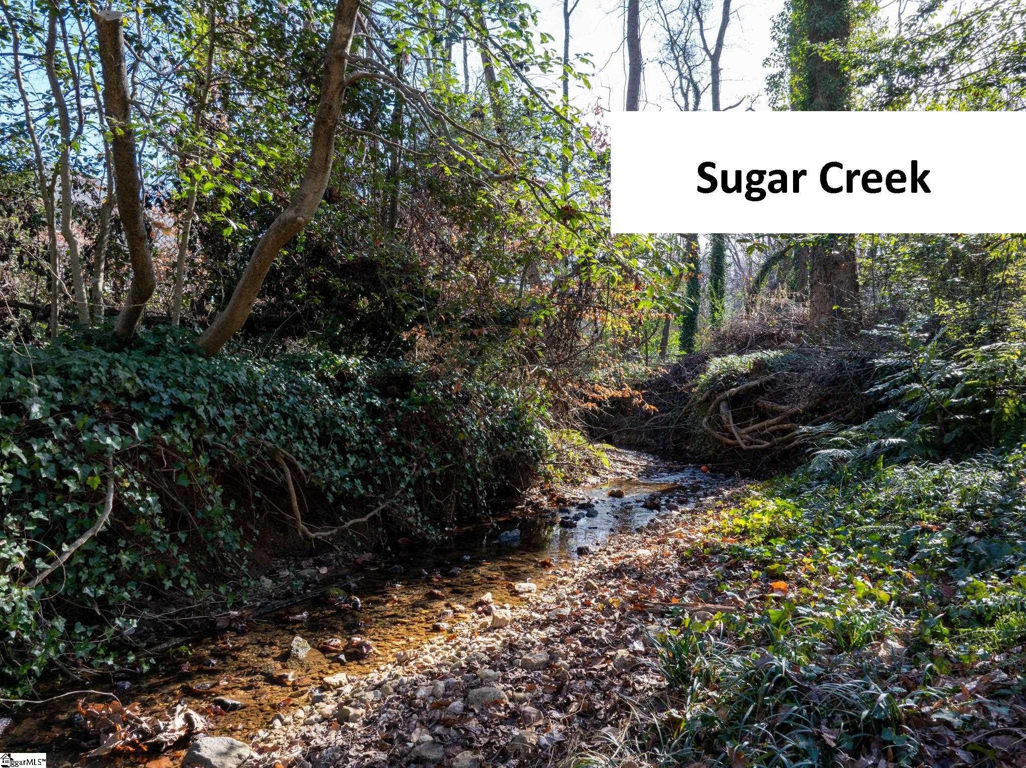 107 Stone Ridge Court Greer, SC 29650 - Photo 8 of 50