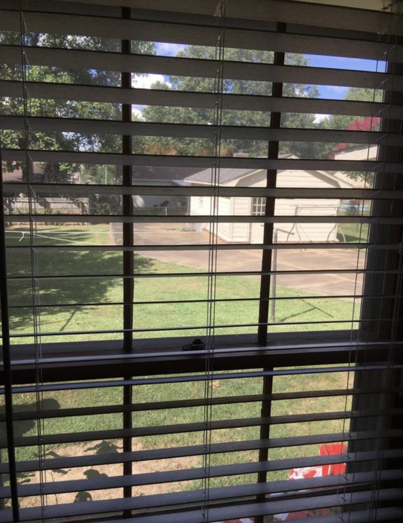 73 Hughes Drive Jackson, TN 38305 - Photo 22 of 24 a view of a window