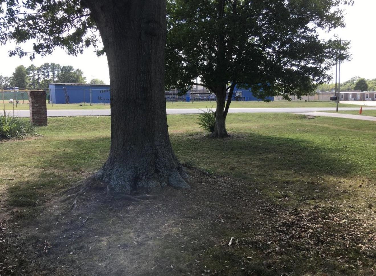 73 Hughes Drive Jackson, TN 38305 - Photo 23 of 24 a view of outdoor space with garden