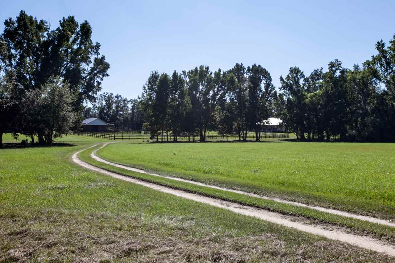 335 Walker Cemetery Road Monticello, FL 32344 - Photo 2 of 24 Gallery Image 2