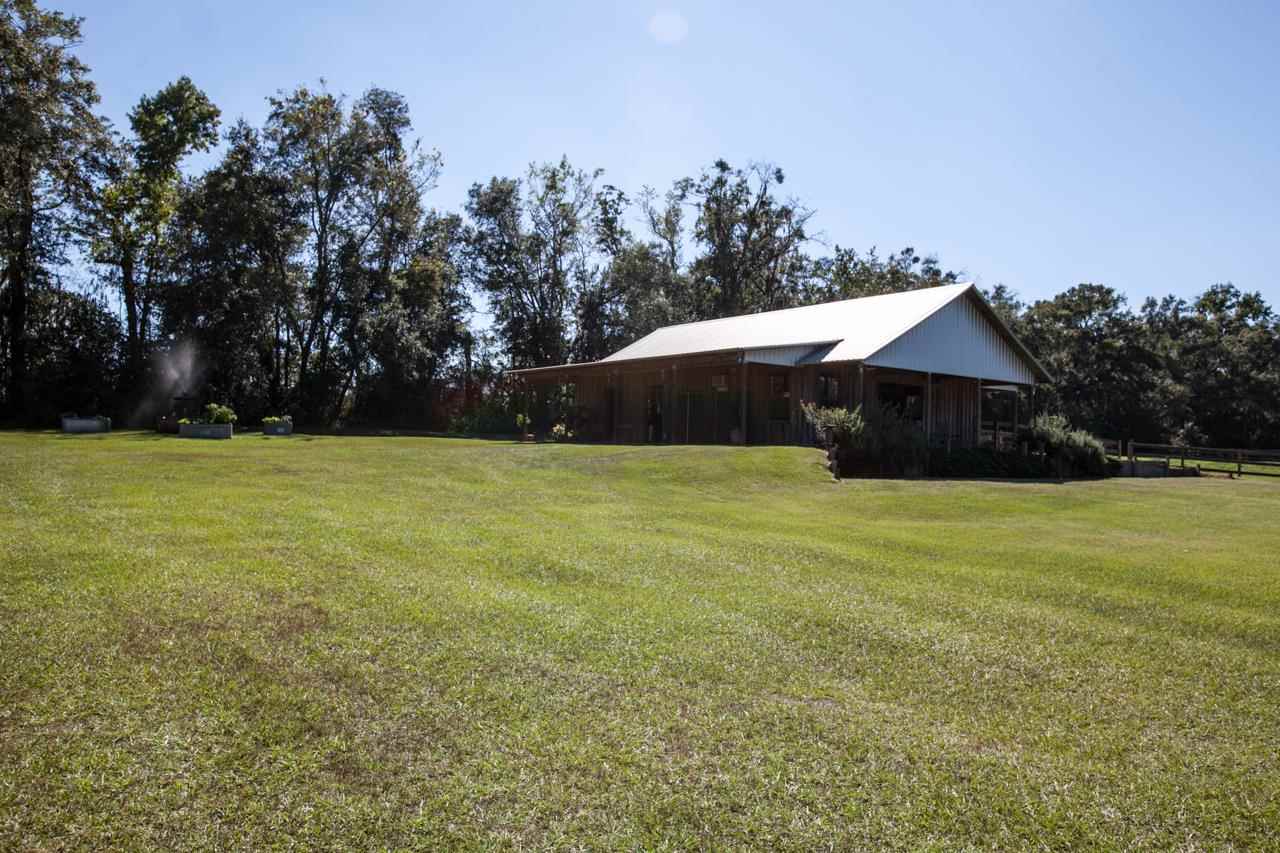 335 Walker Cemetery Road Monticello, FL 32344 - Photo 3 of 24 Gallery Image 3
