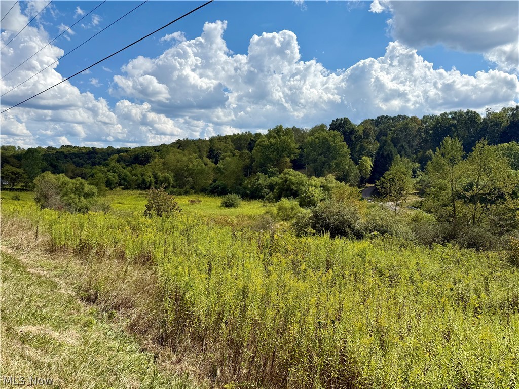 Aster Road Scio, OH 43988 - Photo 2 of 11