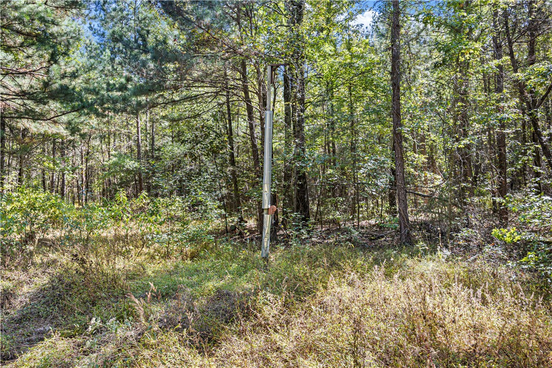 4200 County Road Clarksville, AR 72830 - Photo 13 of 48 Gallery Image 13