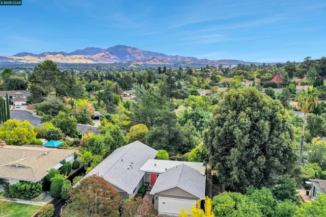 a view of a city with a mountain