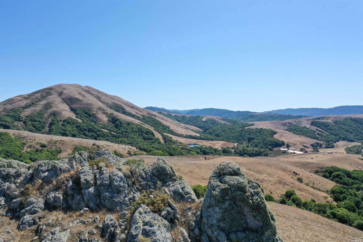 a view of a lush green field with mountains in the background