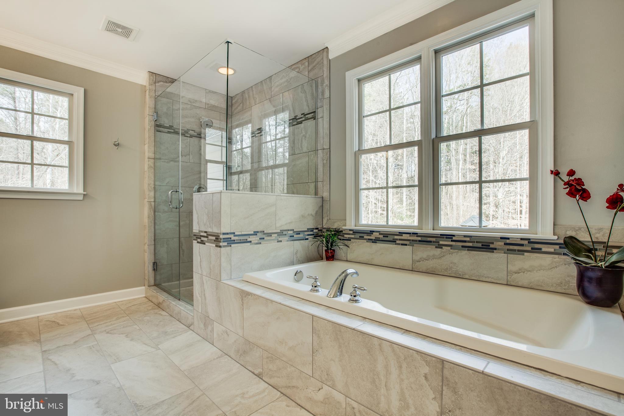 22 Ruffian Drive Stafford, VA 22556 - Photo 20 of 44 Elegant master bath with soaking tub