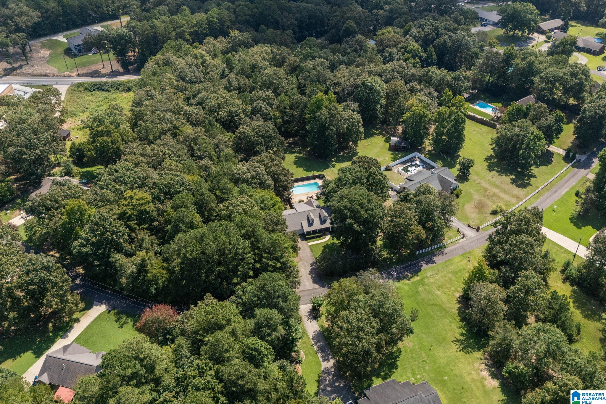 240 Lake View Circle Riverside, AL 35135 - Photo 64 of 64 Gallery Image 64