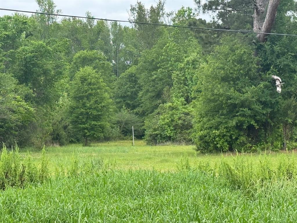 5670 Keithville-Springridge Road Keithville, LA 71047 - Photo 37 of 40