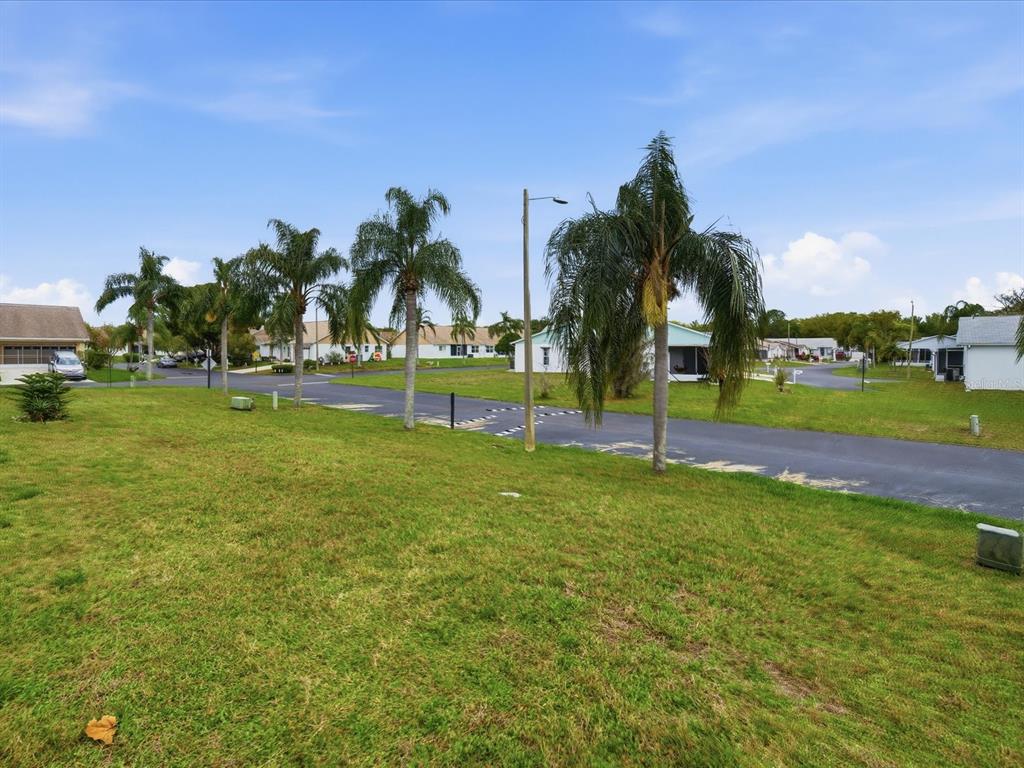 4209 Avanti Circle New Port Richey, FL 34655 - Photo 35 of 35 a view of a park with palm trees