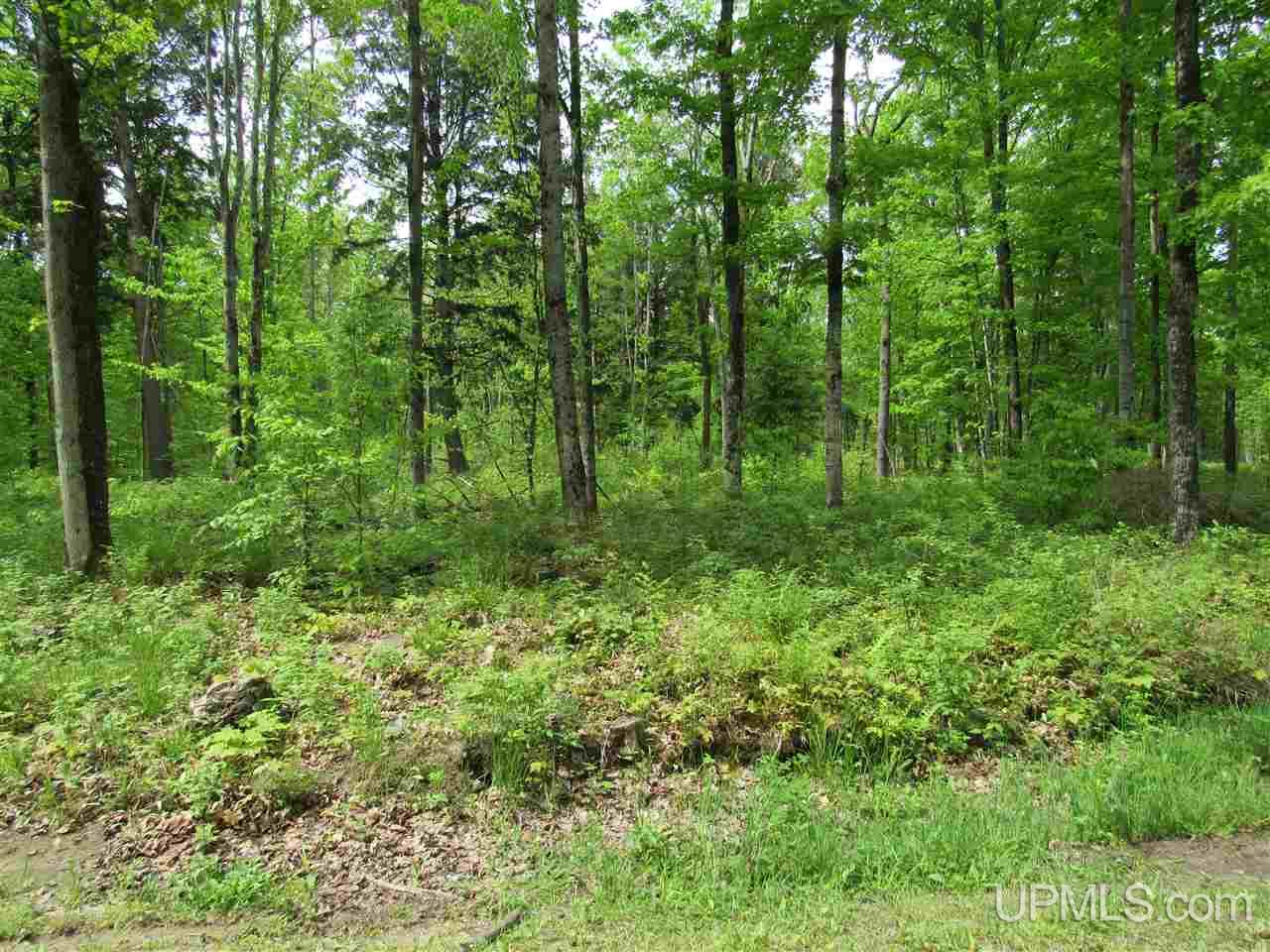 Tbd Co Rd 442, Unit 4 Rapid River, MI 49878 - Photo 8 of 10