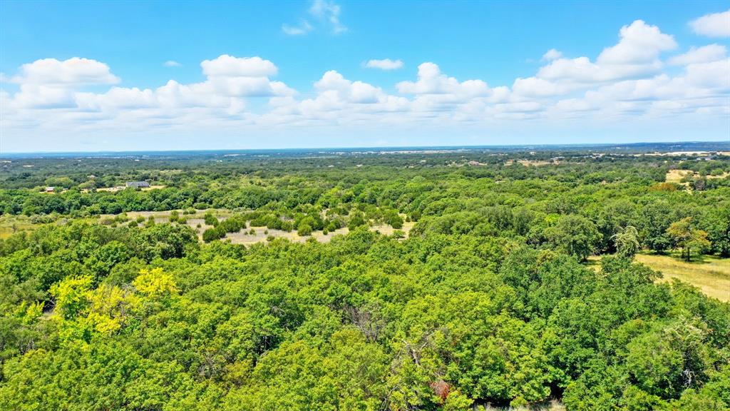 395 Pepper Lane Weatherford, TX 76088 - Photo 18 of 24 Aerial view of a heavily wooded area