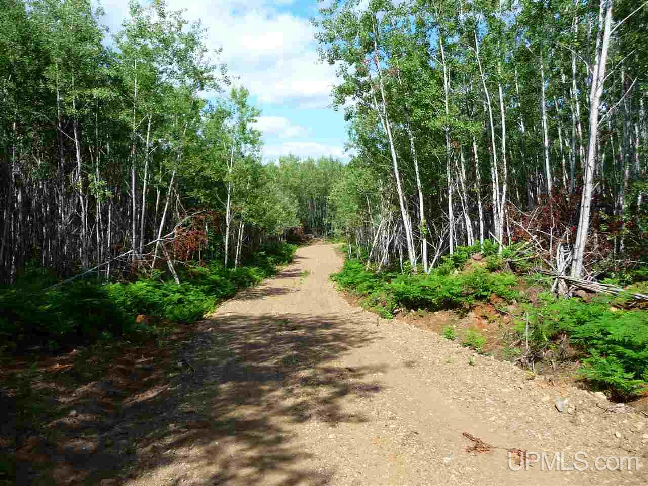 Tbd Tbd Road Republic, MI 49879 - Photo 10 of 21