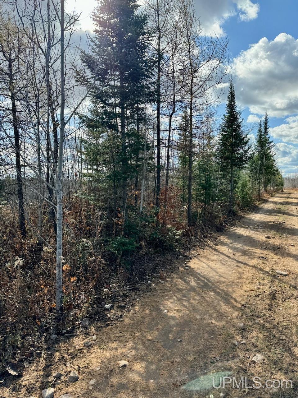27.5 Rd 28 Acres Trail Gladstone, MI 49837 - Photo 14 of 24