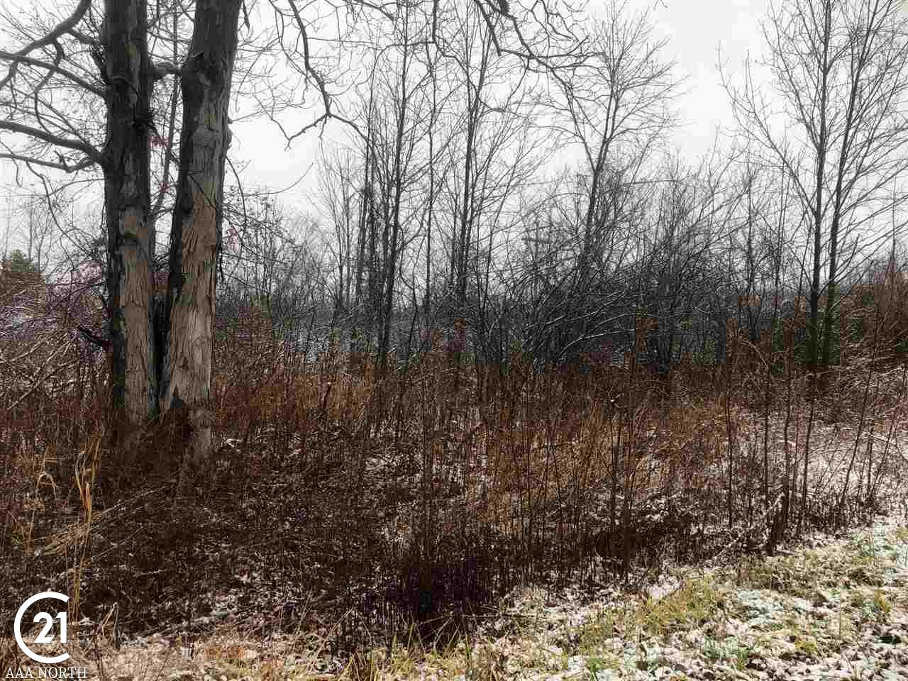 0 Hill Riley Mi 48041 Memphis, MI 48041 - Photo 3 of 7