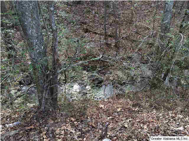 734 Valley Grove Road, Unit 15 4 ACR Remlap, AL 35133 - Photo 31 of 32