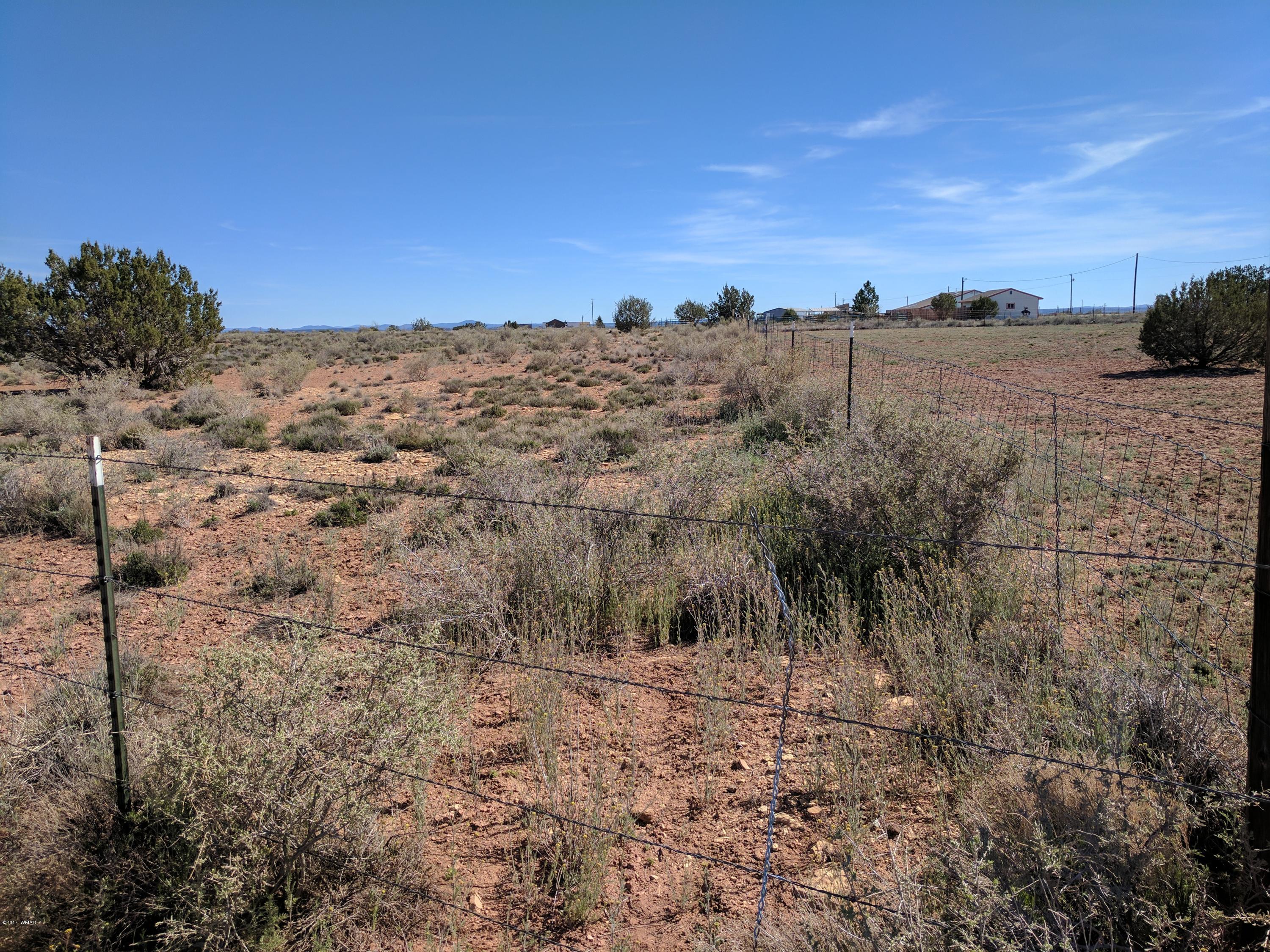 Tbd Tbd Antelope Ridge Road Snowflake, AZ 85937 - Photo 4 of 10 IMG_20170405_150631