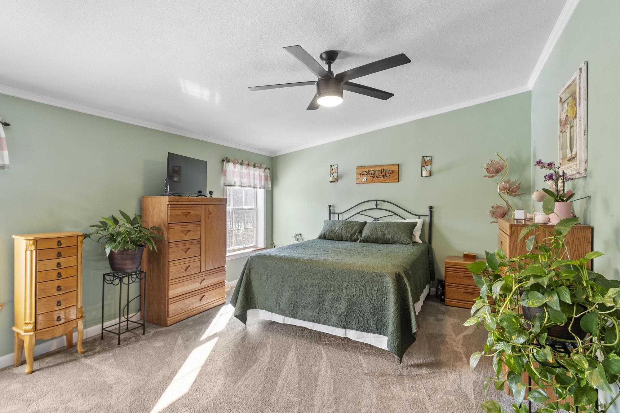 168 Eagle Pond Road Wilmot, NH 03287 - Photo 19 of 54