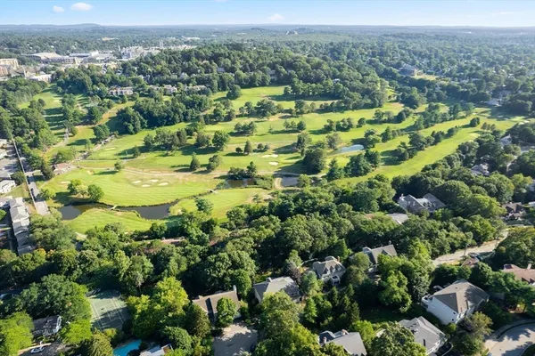 a plant that is in a garden