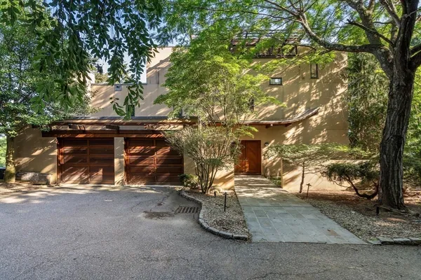 a view of a tree next to a yard