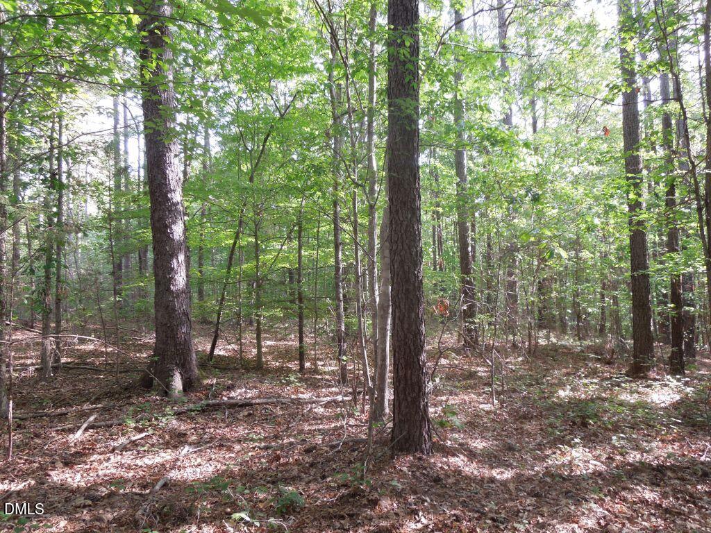 0 Glebe Road Henderson, NC 27537 - Photo 7 of 34 DSCN0477