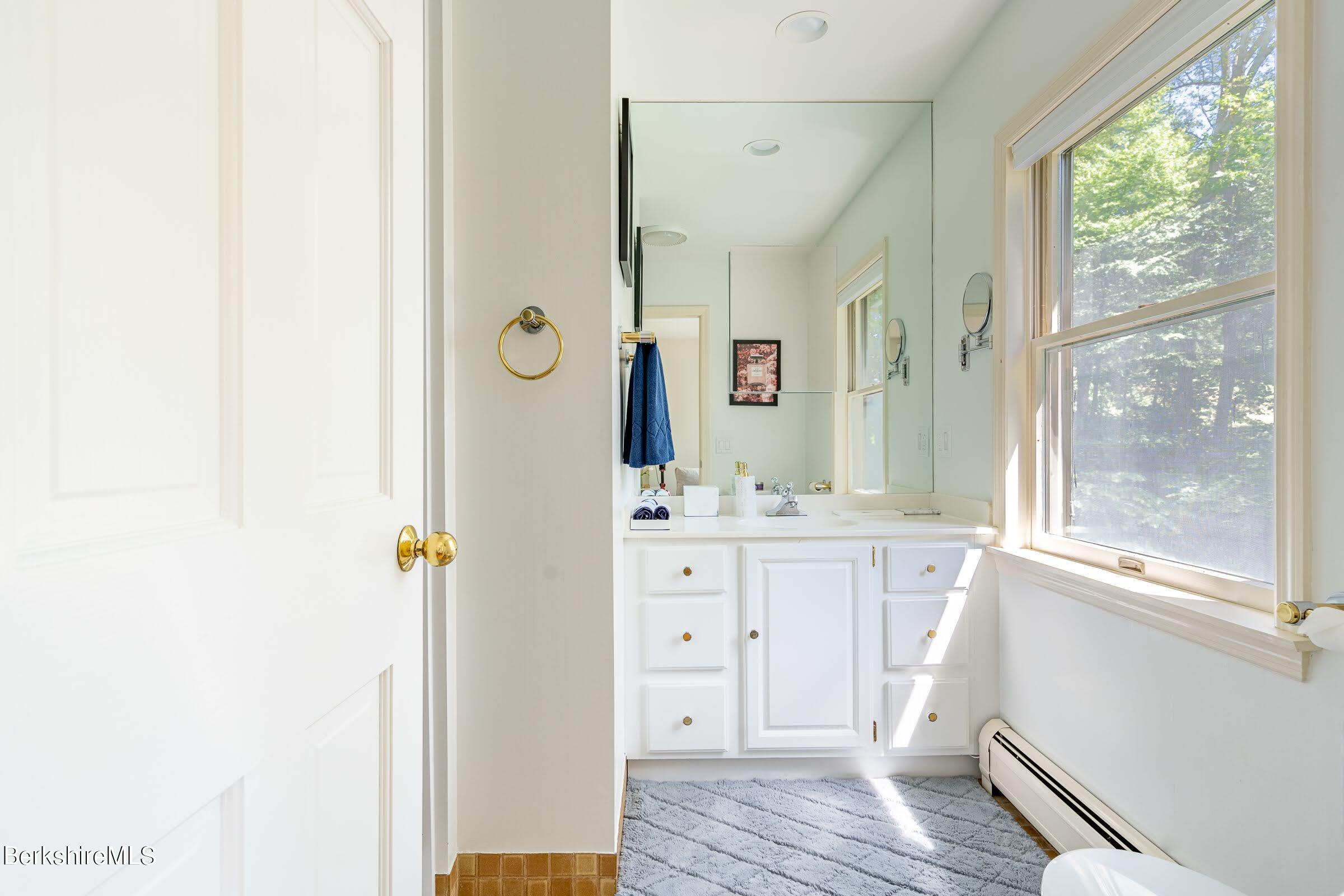91 Brush Hill Road Great Barrington, MA 01230 - Photo 22 of 40 a bathroom with a sink and a mirror