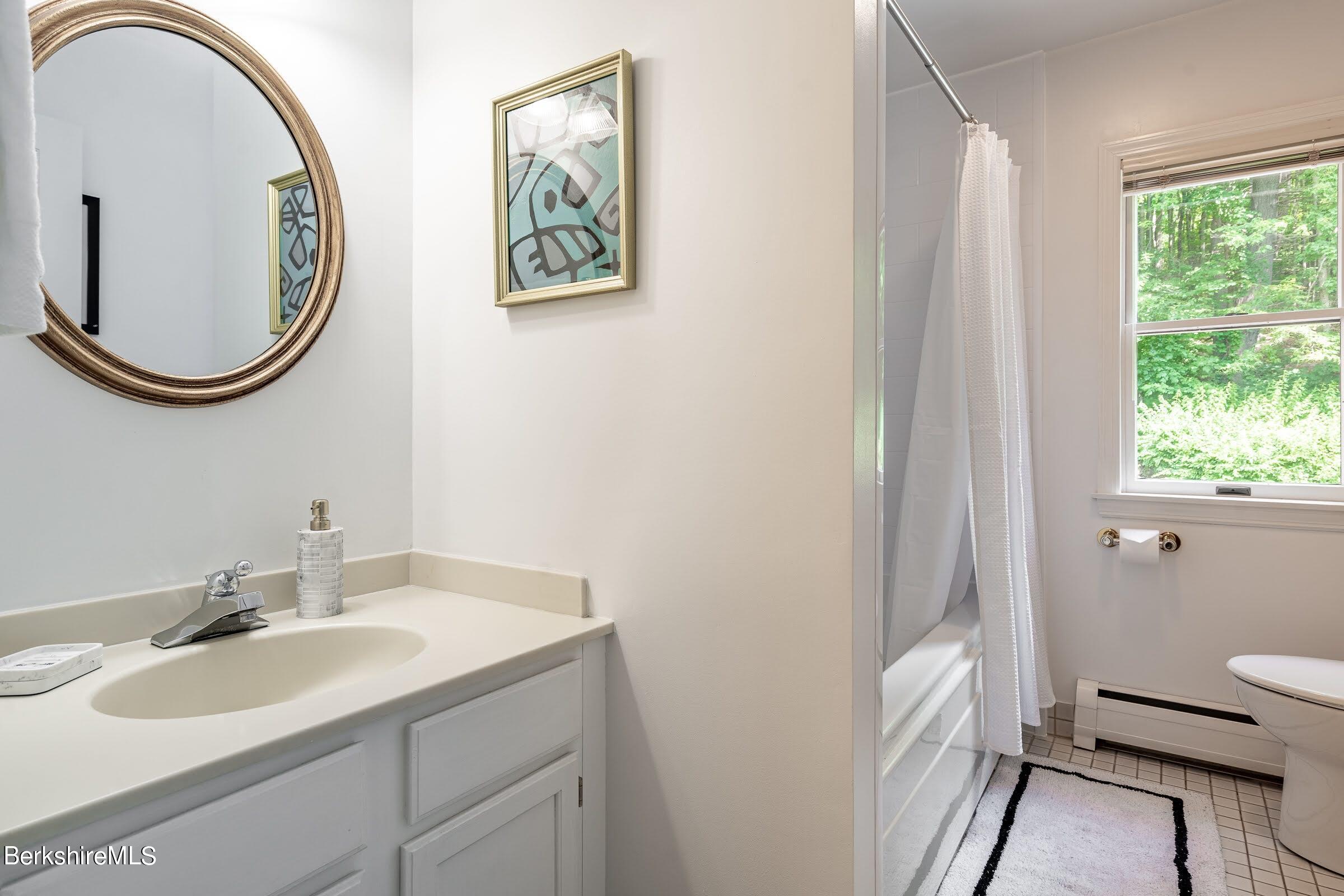 91 Brush Hill Road Great Barrington, MA 01230 - Photo 26 of 40 a bathroom with a toilet a sink and a mirror