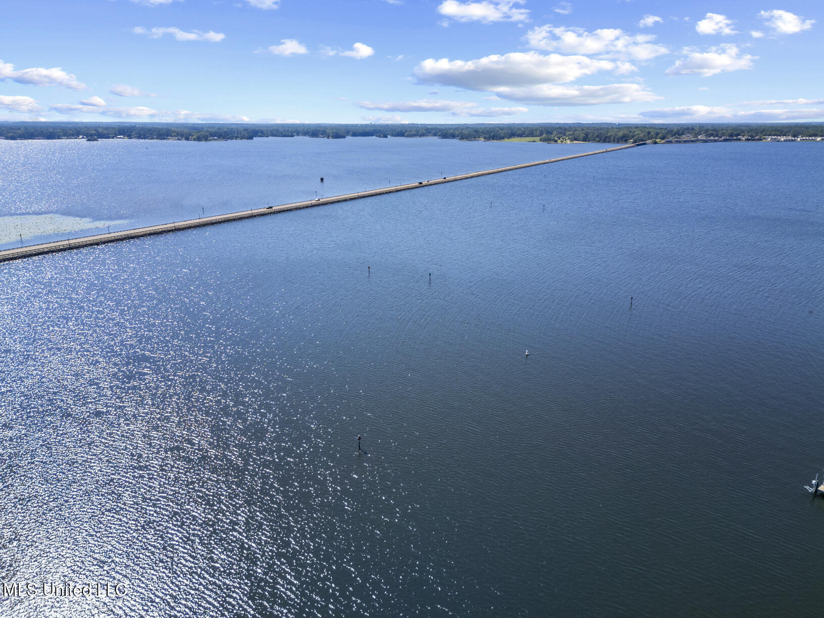 106 Colony Crown Brandon, MS 39047 - Photo 41 of 63 106 Colony Crown drone-6