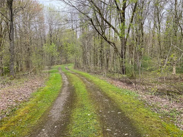 $39,900 | Lot #9 Lost Ridge Road, Unit 9, Camden, NY 13316