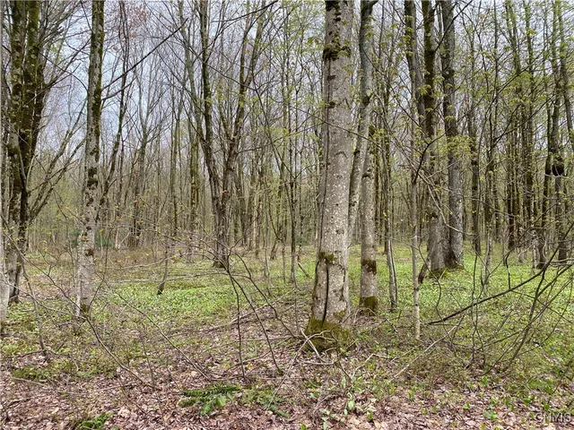 $39,900 | Lot #9 Lost Ridge Road, Unit 9, Camden, NY 13316