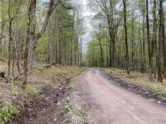 $39,900 | Lot #9 Lost Ridge Road, Unit 9, Camden, NY 13316