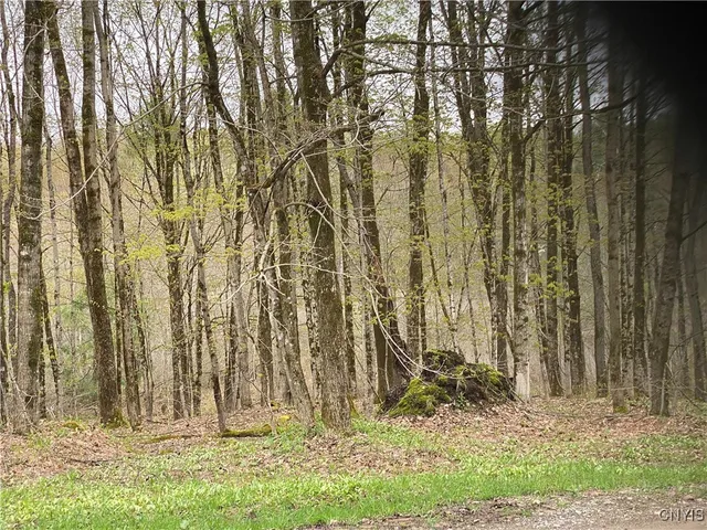 $39,900 | Lot #9 Lost Ridge Road, Unit 9, Camden, NY 13316