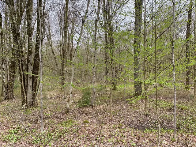 $39,900 | Lot #9 Lost Ridge Road, Unit 9, Camden, NY 13316