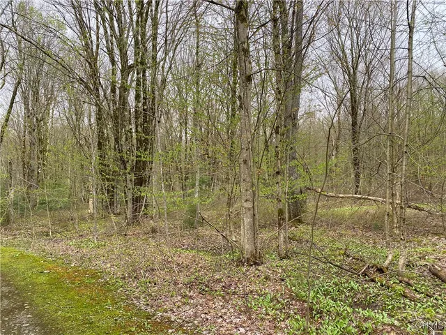 $39,900 | Lot #9 Lost Ridge Road, Unit 9, Camden, NY 13316