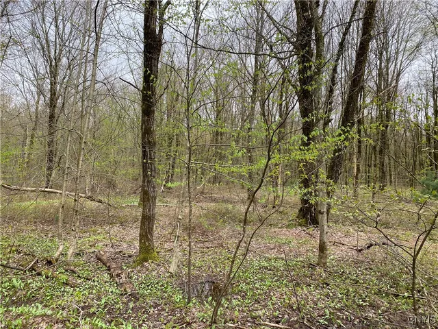 $39,900 | Lot #9 Lost Ridge Road, Unit 9, Camden, NY 13316