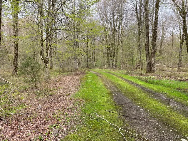 $39,900 | Lot #9 Lost Ridge Road, Unit 9, Camden, NY 13316