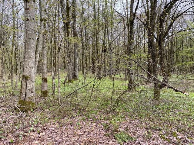 $39,900 | Lot #9 Lost Ridge Road, Unit 9, Camden, NY 13316