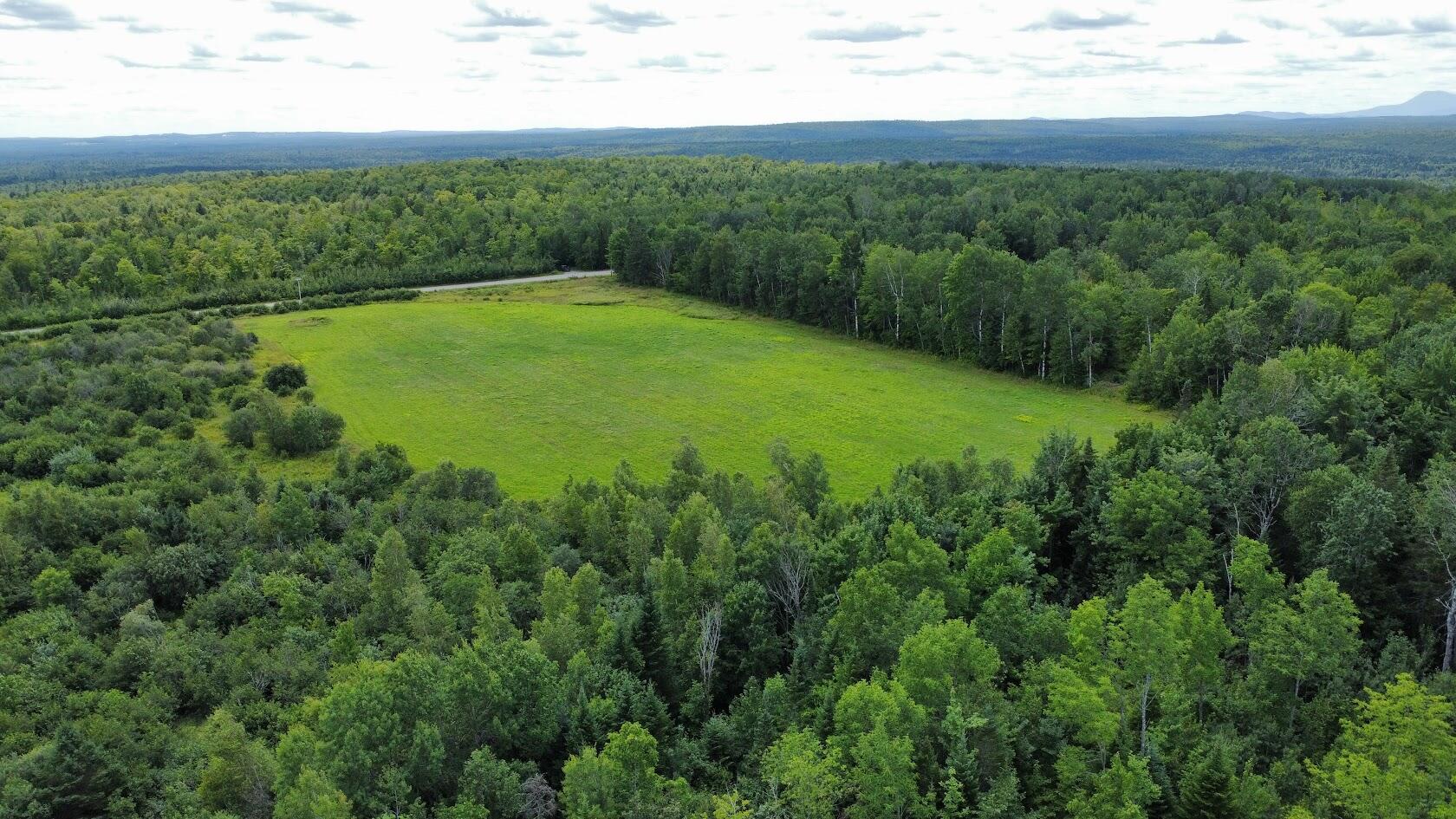 Lot 1 Townline Road Merrill, ME 04780 - Photo 6 of 21 dji_fly_20240722_130812_349_172166810176