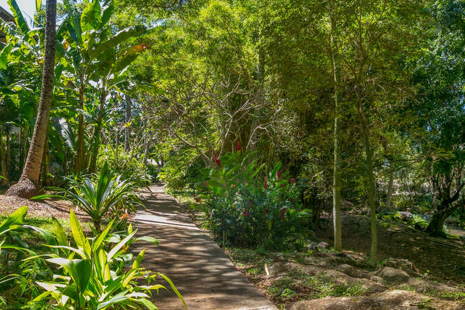 2721 Poipu Road, Unit 321 Koloa, HI 96756 - Photo 21 of 26 Gallery Image 21