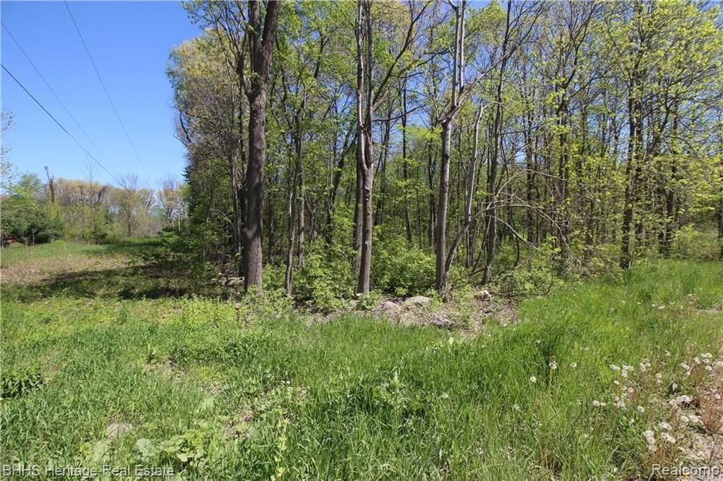 1950 Peavy Road Howell, MI 48843 - Photo 5 of 5