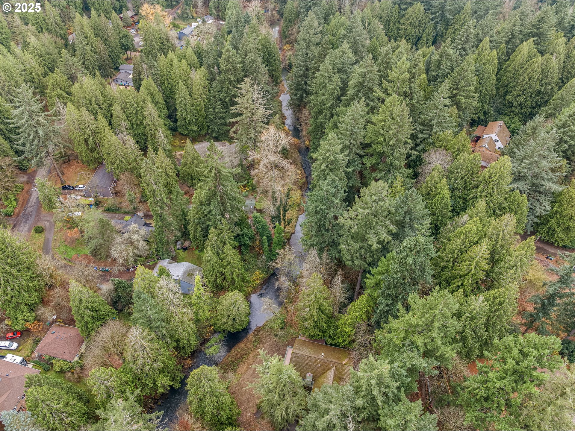 6647 Southeast 122nd Avenue Portland, OR 97266 - Photo 11 of 48 an aerial view of residential house with outdoor space and trees all around