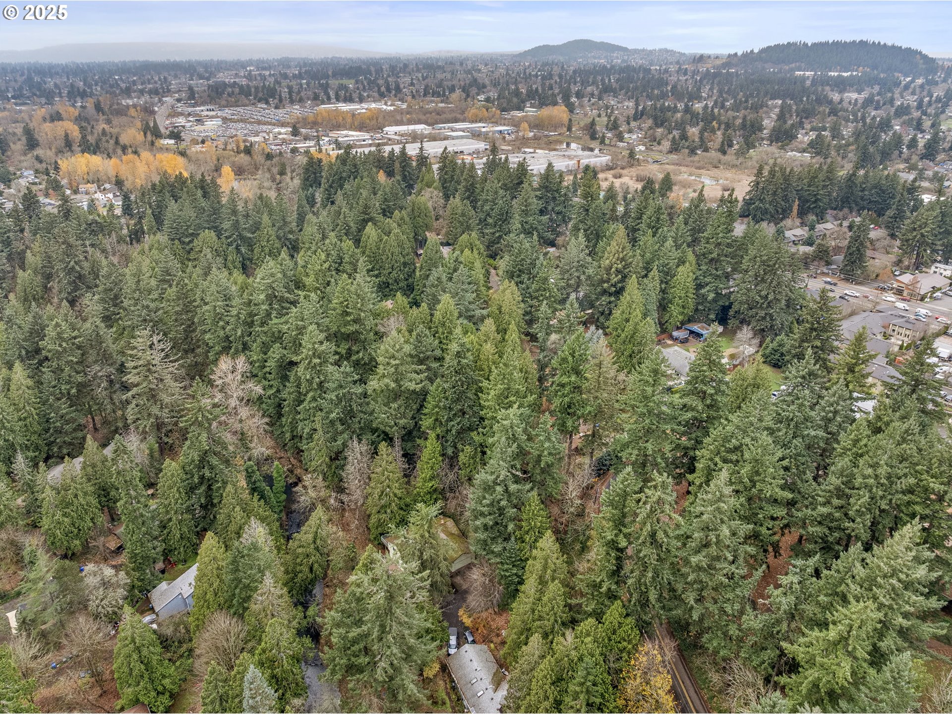 6647 Southeast 122nd Avenue Portland, OR 97266 - Photo 12 of 48 an aerial view of forest