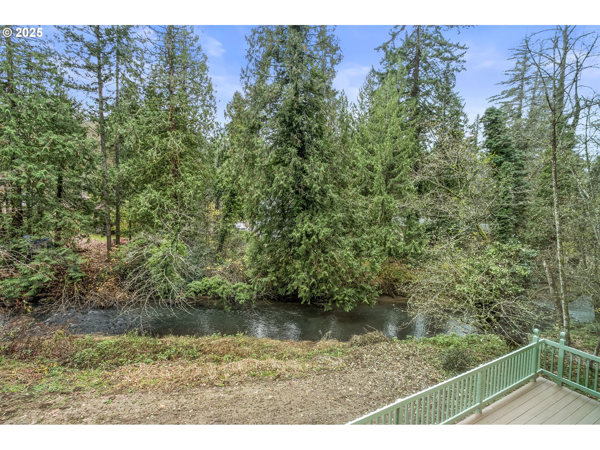 6647 Southeast 122nd Avenue Portland, OR 97266 - Photo 21 of 48 a view of a forest