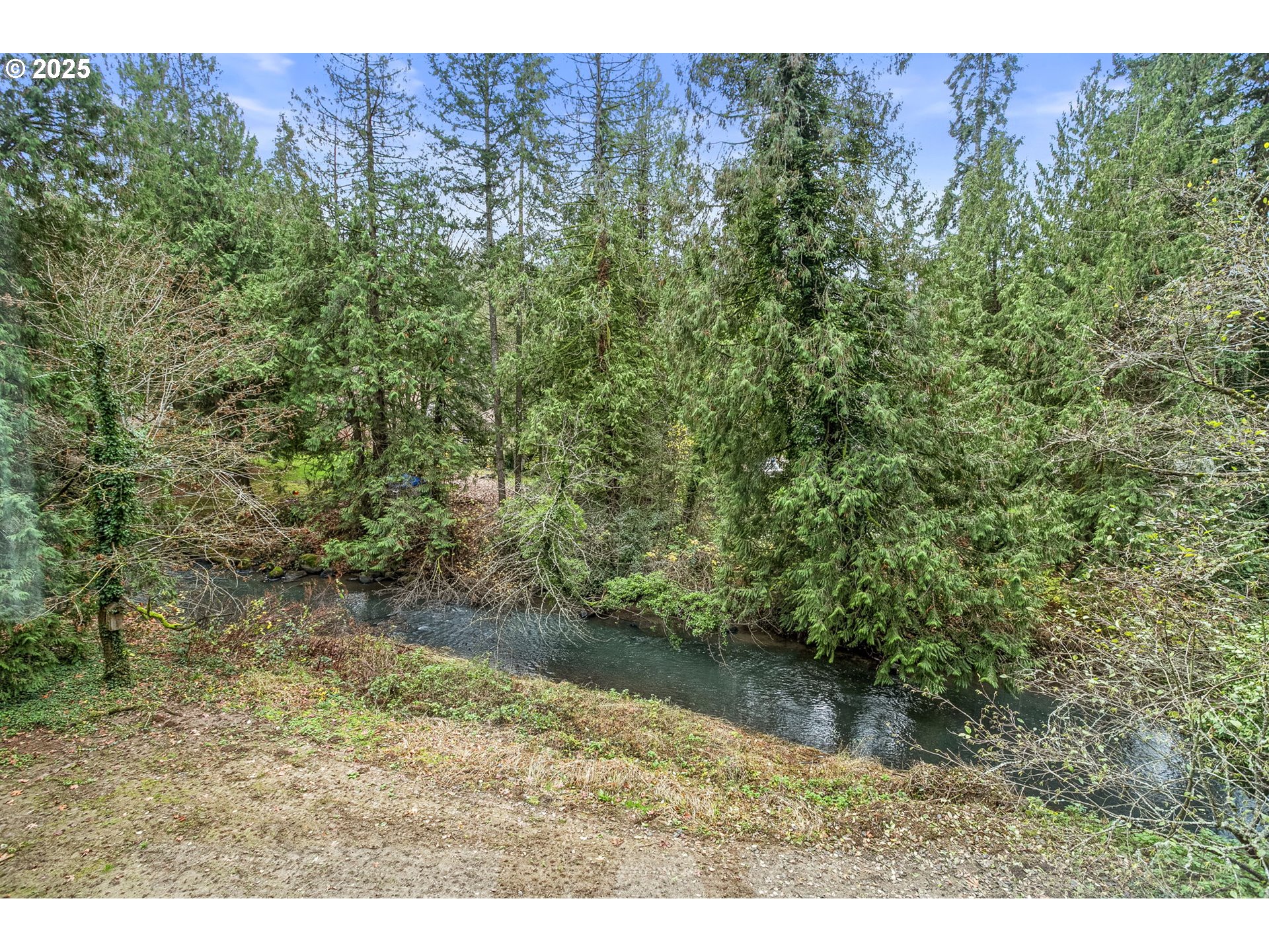 6647 Southeast 122nd Avenue Portland, OR 97266 - Photo 23 of 48 a view of a yard with a tree
