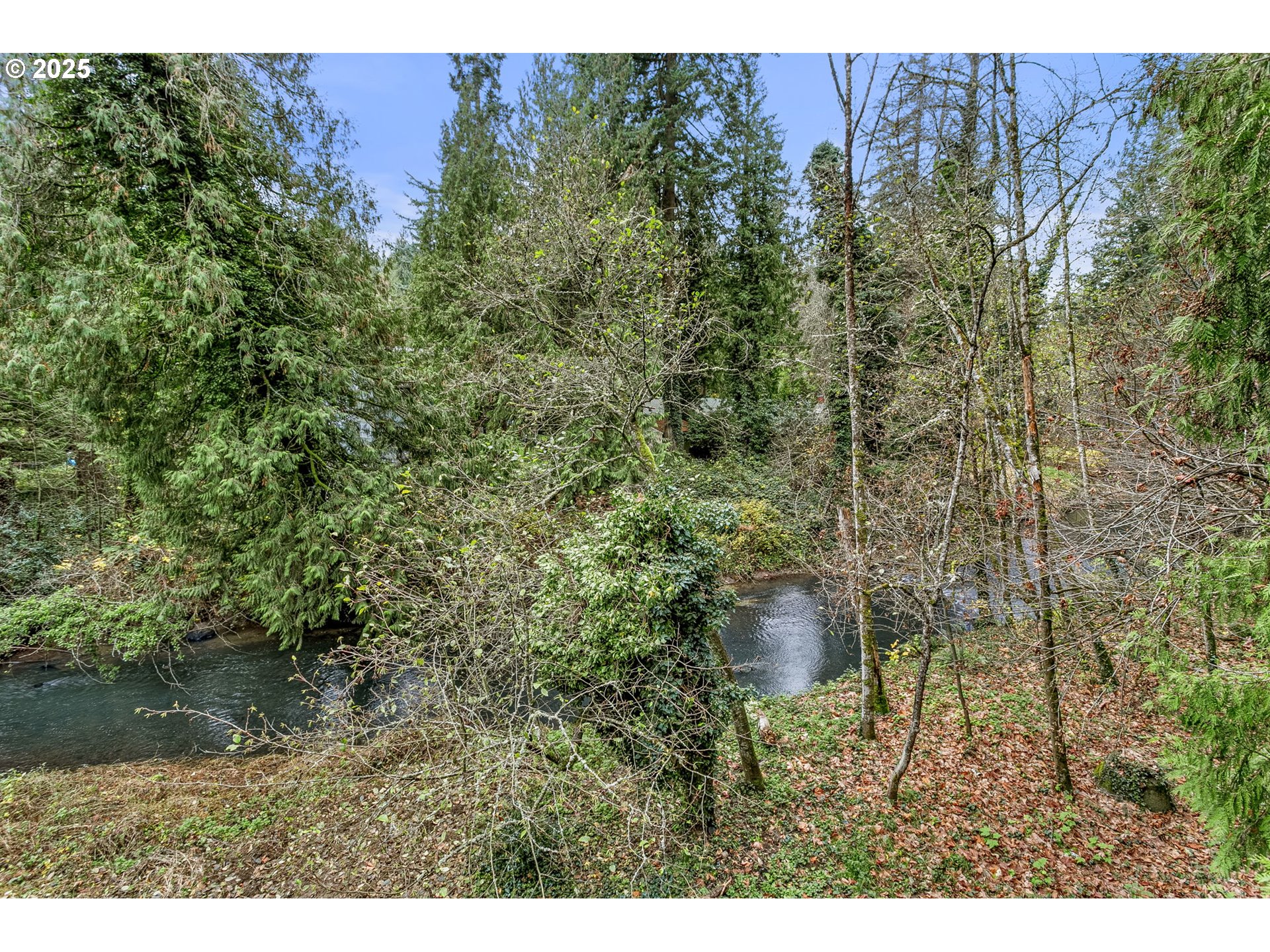 6647 Southeast 122nd Avenue Portland, OR 97266 - Photo 47 of 48 a view of a yard