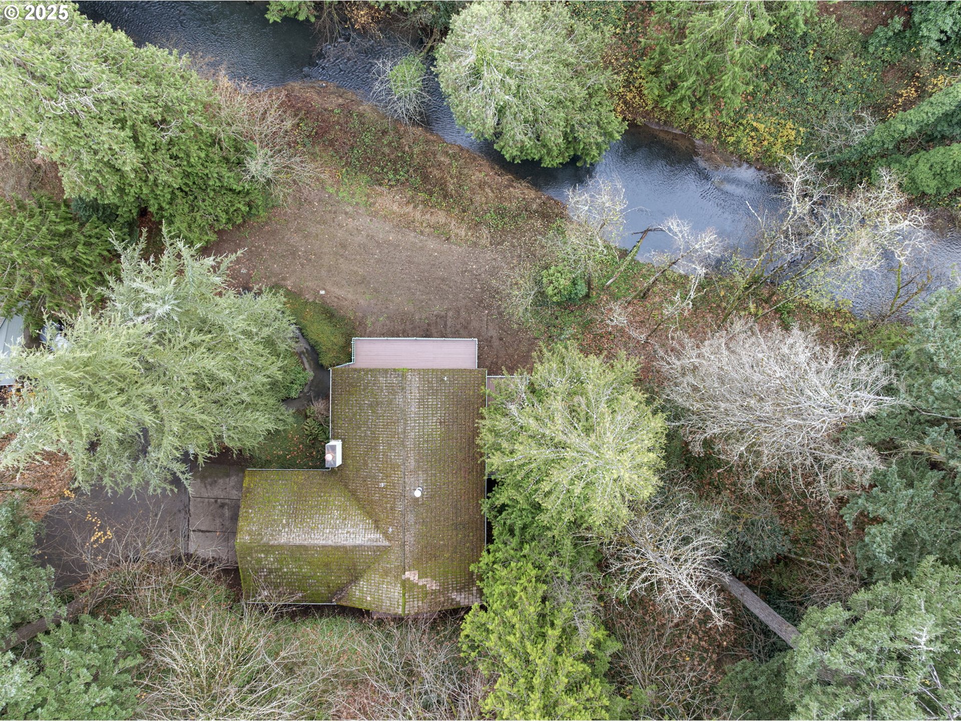 6647 Southeast 122nd Avenue Portland, OR 97266 - Photo 8 of 48 a view of a garden with a bench