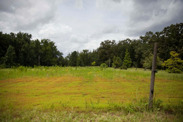 608 Highview Circle Grovetown, GA 30813 - Photo 39 of 41 Garden area