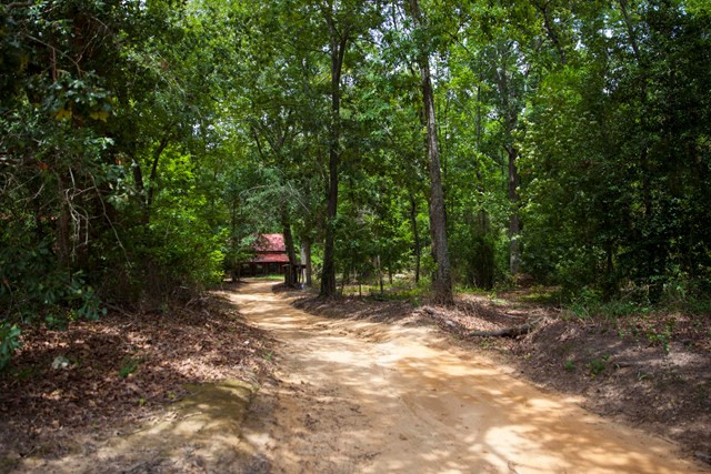 608 Highview Circle Grovetown, GA 30813 - Photo 5 of 41 Driveway