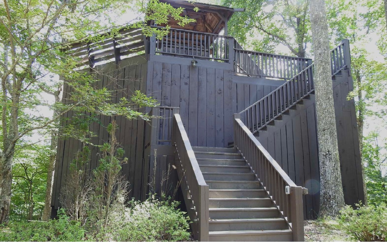 15 Mount Laurel Way Cherry Log, GA 30522 - Photo 54 of 66 Additional View